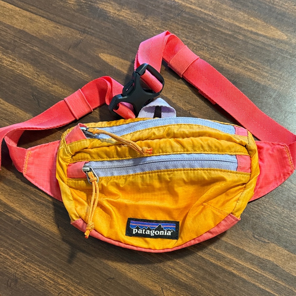 Patagonia Lightweight Travel Mini Hip Pack